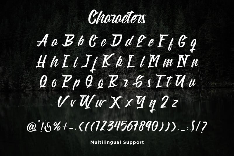 Weathertop Script Typeface preview image 2