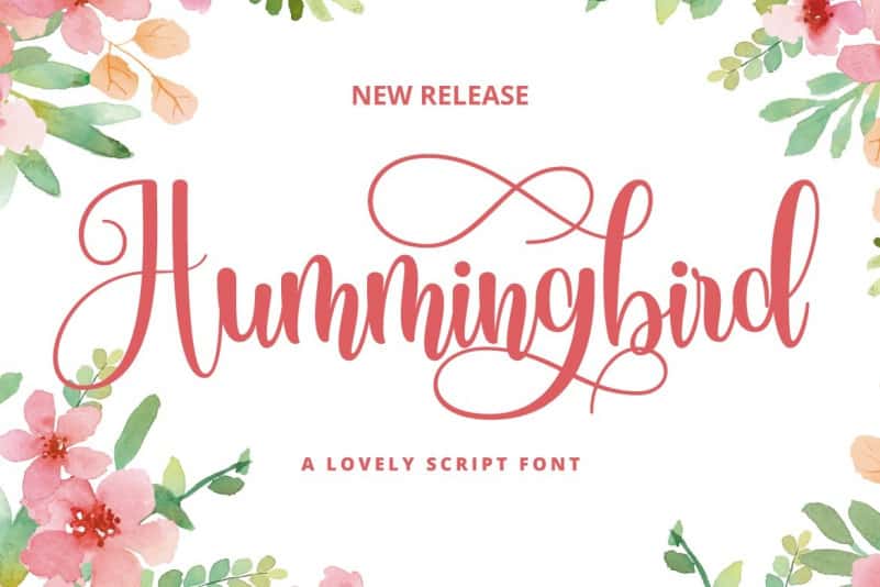 Hummingbird Script Font