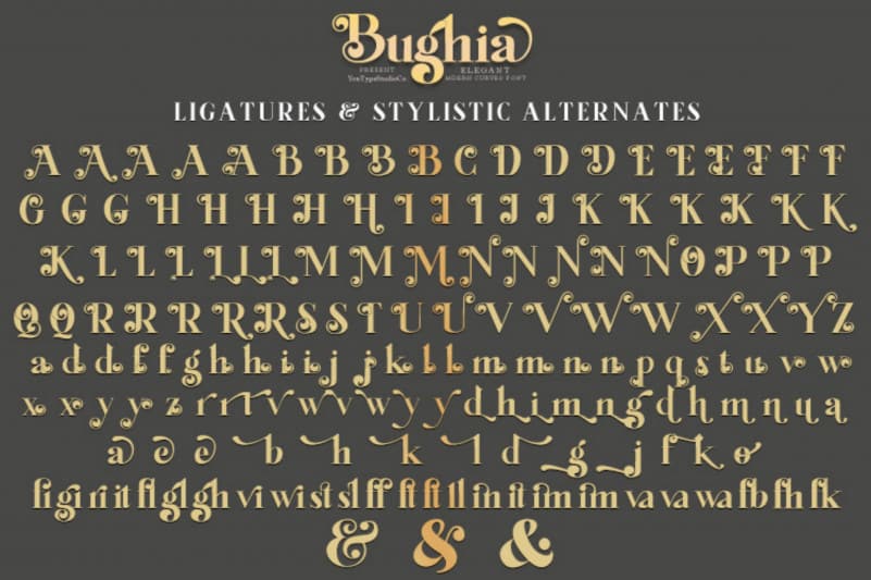 Bughia Serif Font preview image 5