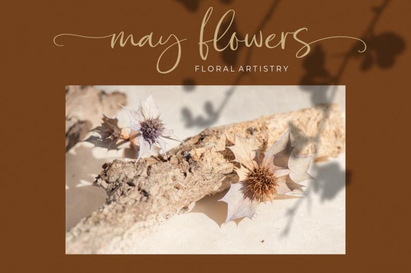 Missy Script Font preview image 5