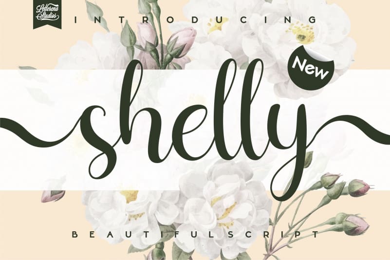 Shelly Calligraphy Font