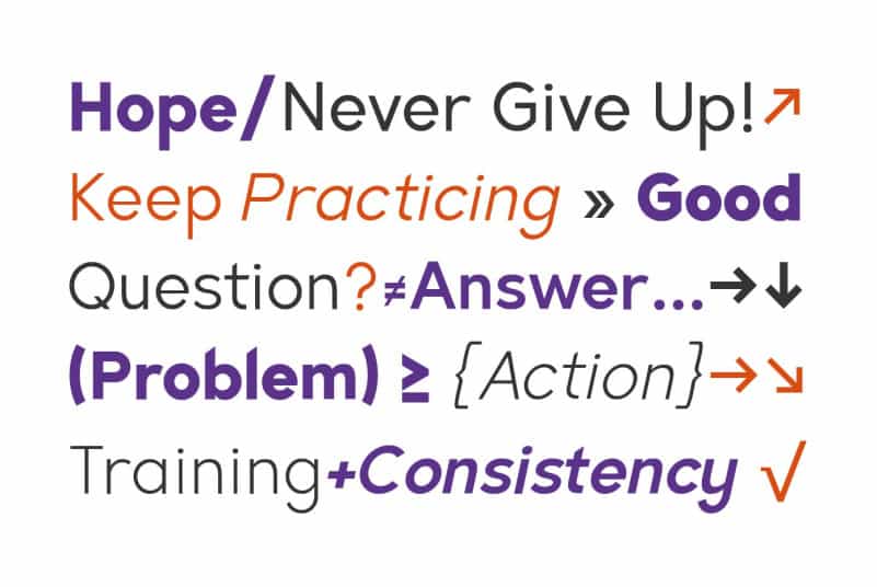 Slenco Sans Serif Font Family preview image 5