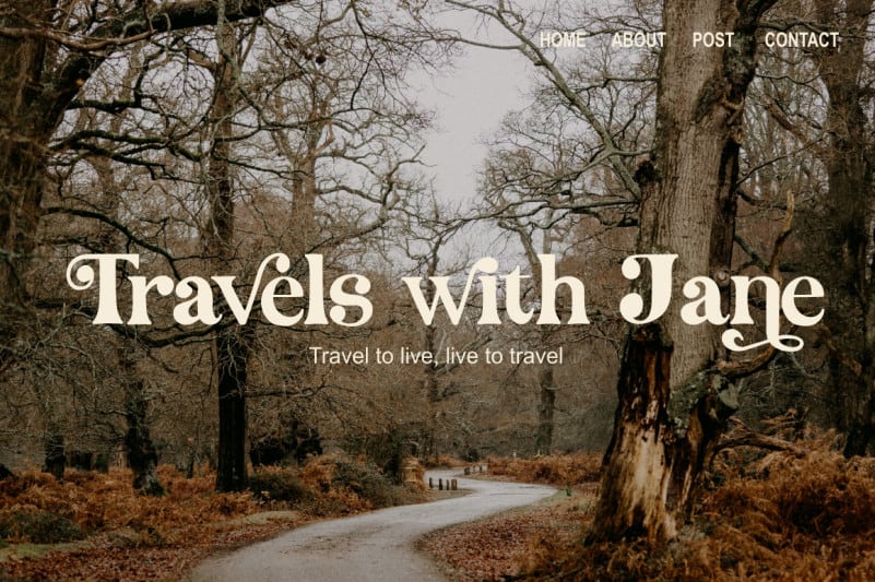 Medyson Serif Font preview image 5