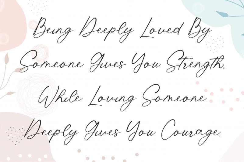 Shatoshi Signature Script Font preview image 2
