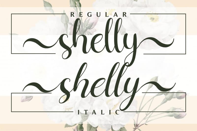 Shelly Calligraphy Font preview image 2