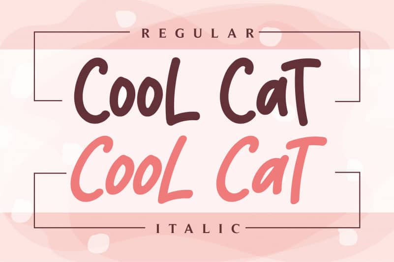 Cool Cat Display Font preview image 2