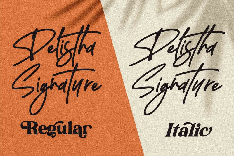 Delistha Signature Font preview image 2