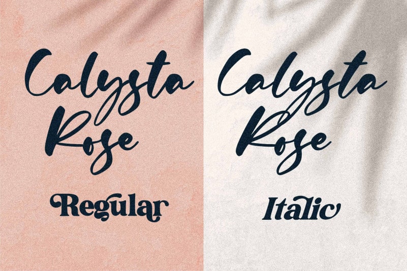 Calysta Rose Script Font preview image 2
