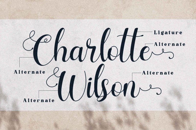 Charlotte Wilson Calligraphy Font preview image 2