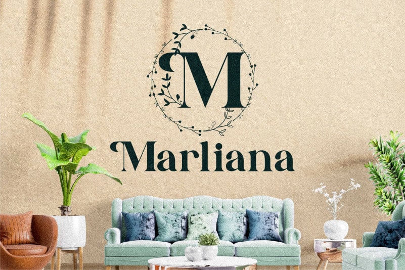Alexandria Monogram Display Font preview image 2