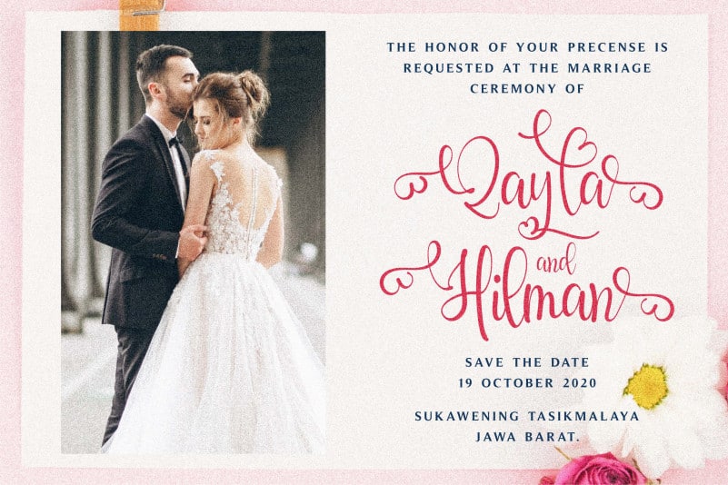 Qayla Script Font preview image 2