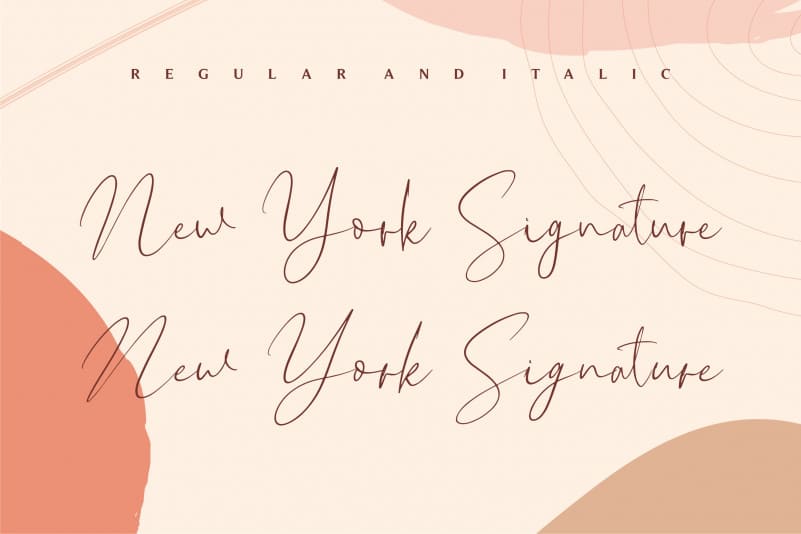 New York Signature Script Font preview image 2