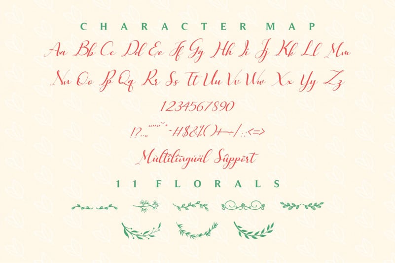 Emely love nature Calligraphy Font preview image 2