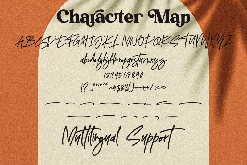 Delistha Signature Font preview image 3