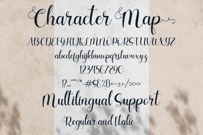 Charlotte Wilson Calligraphy Font preview image 3