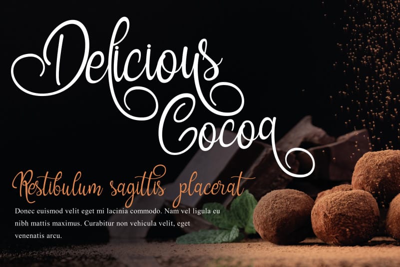 Grookey Shawn Script Font preview image 2