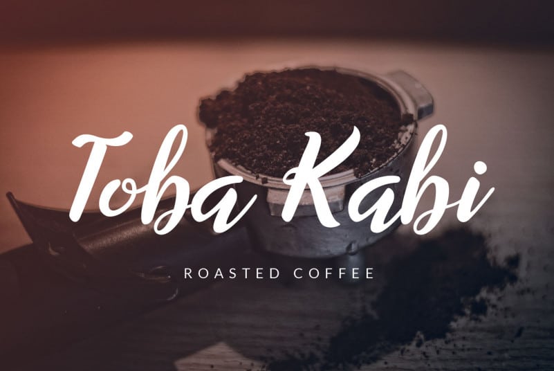 Willynta Script Font preview image 3
