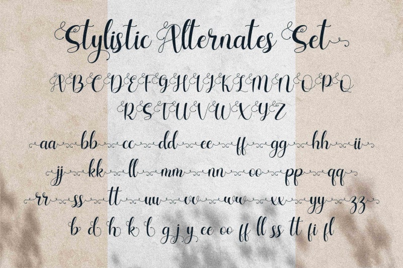Charlotte Wilson Calligraphy Font preview image 4