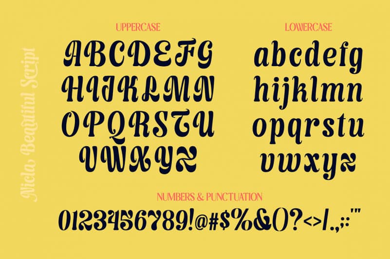 Nicla Script Font preview image 3