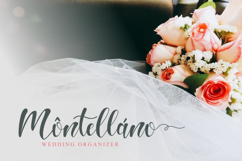 Hello Melda Script Font preview image 3