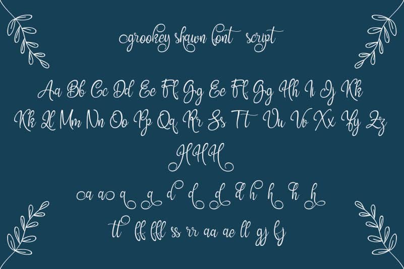 Grookey Shawn Script Font preview image 3