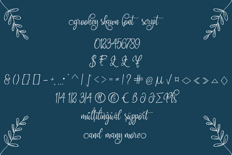 Grookey Shawn Script Font preview image 4