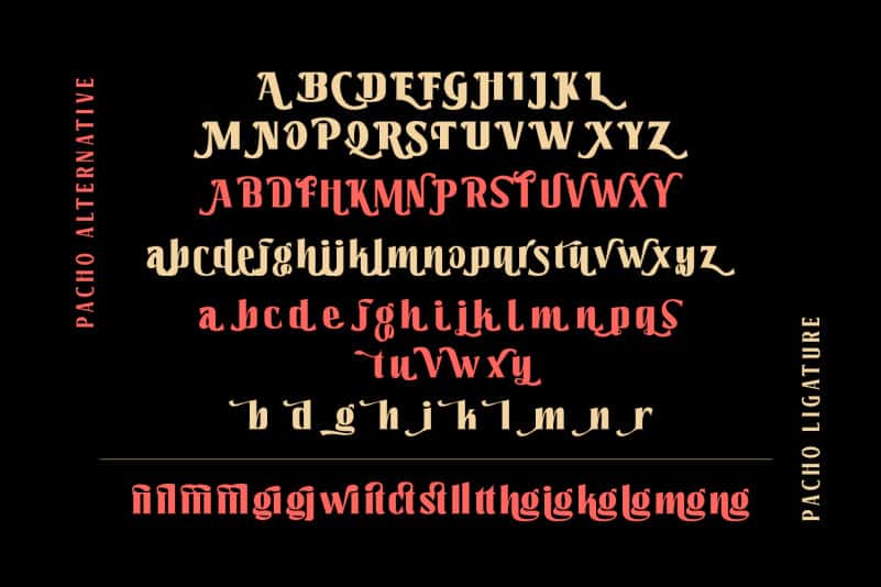 Pacho – Serif Font Family preview image 4