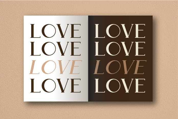 Boldatin Slab Display Font Family preview image 5