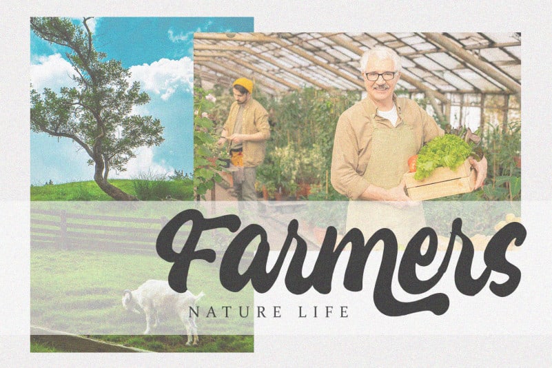 Katracy Font preview image 4
