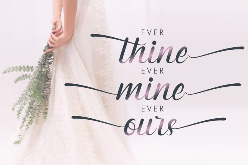 Marshland Calligraphy Font preview image 3