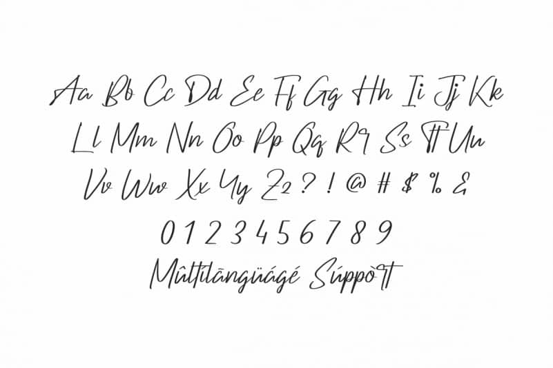 Darkboats Signature Font preview image 3