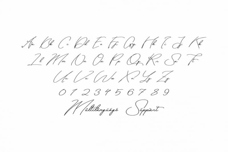 Scallies Signature Font preview image 3