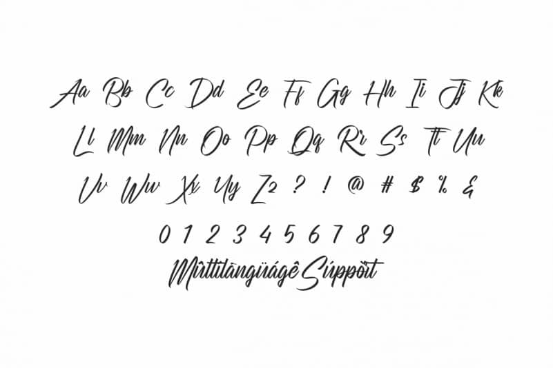 Relaunchers Script Font preview image 3