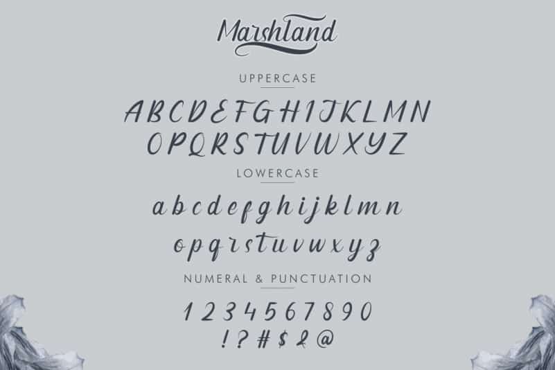 Marshland Calligraphy Font preview image 4