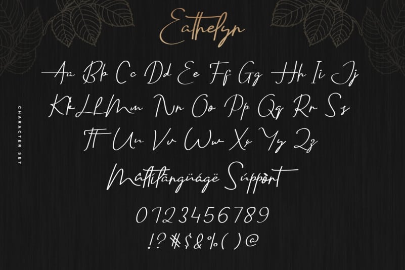 Eathelyn Signature Font preview image 4