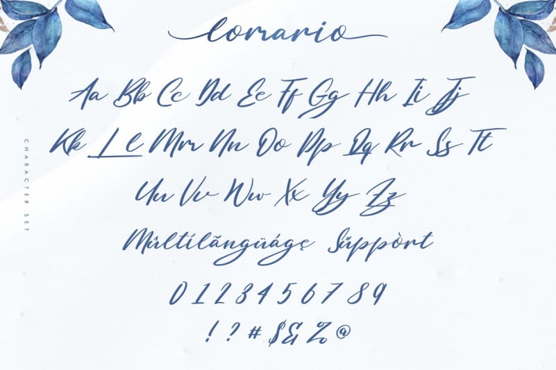 Lomario Calligraphy Font preview image 4