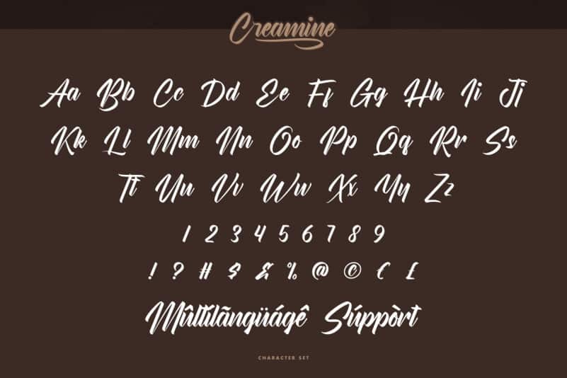 Creamine Calligraphy Font preview image 4