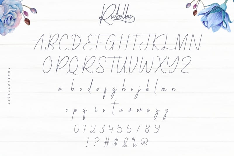 Rubellas Signature Font preview image 4