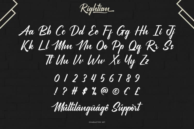 Rightism Script Font preview image 4