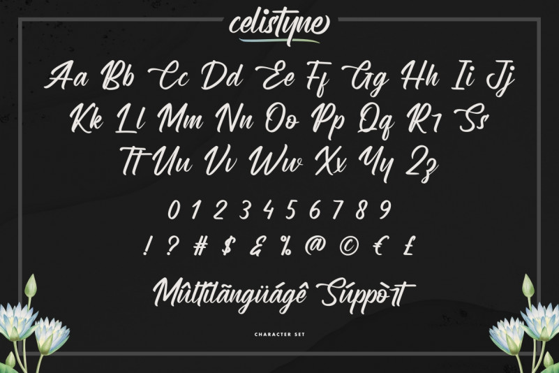 Celistyne Script Font preview image 4