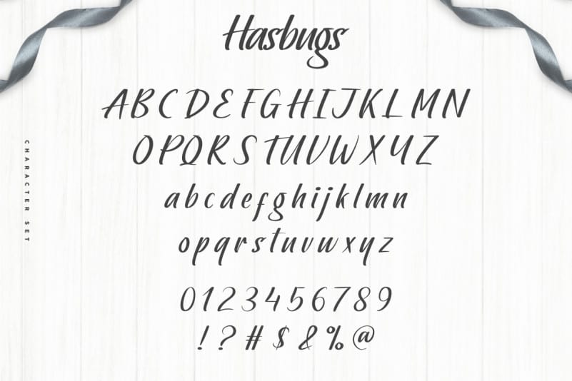 Hasbugs Brush Font preview image 4