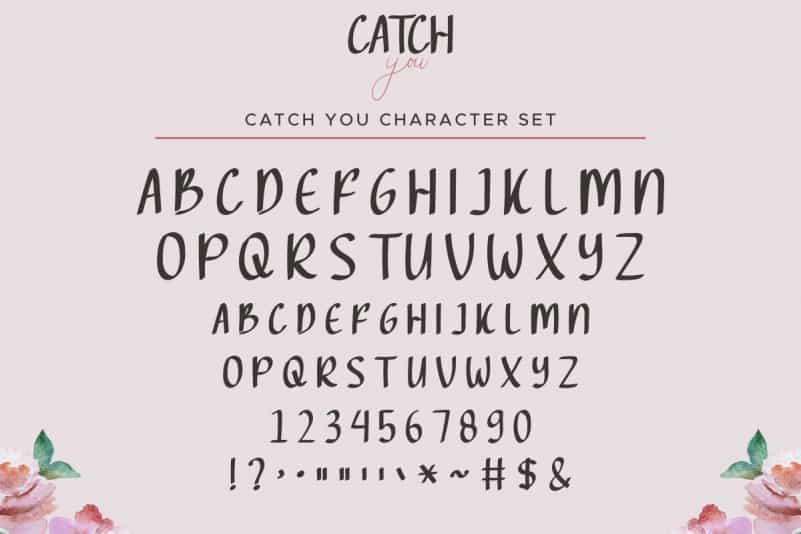 Catch You Script Font Duo preview image 4