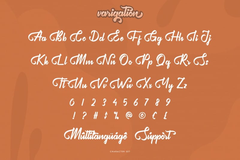 Varigation Calligraphy Font preview image 4