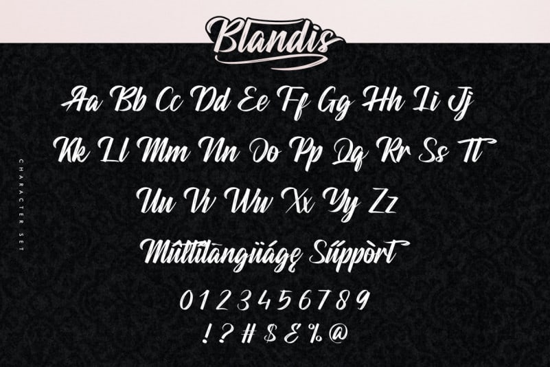 Blandis Brush Font preview image 4