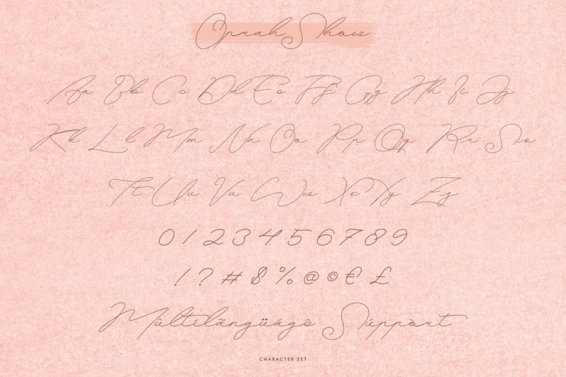 Oprah Show Signature Font preview image 4