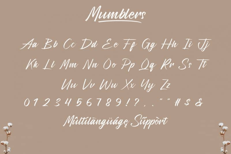 Mumblers Script Font preview image 4