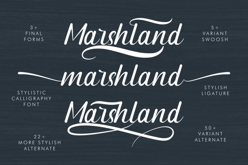 Marshland Calligraphy Font preview image 5