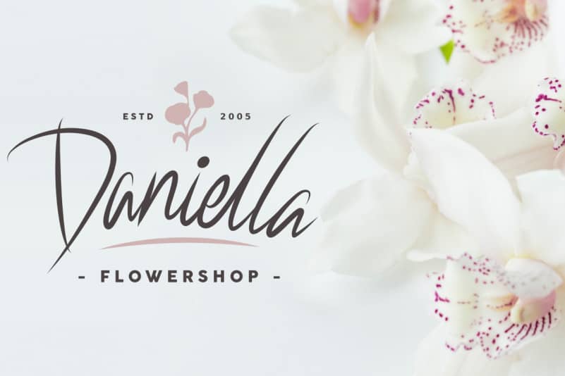 Hellacious Script Font preview image 5