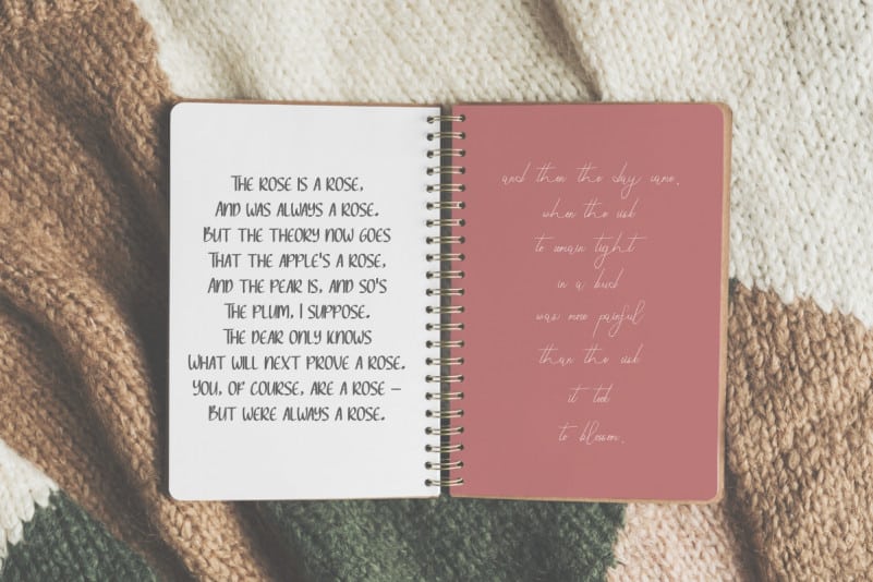 Catch You Script Font Duo preview image 5