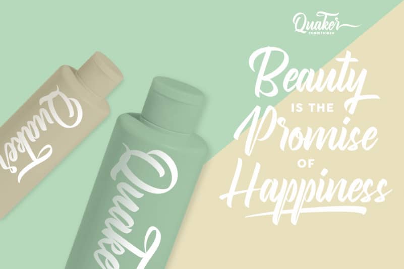 Fairleaders Brush Font preview image 4